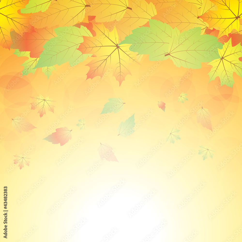 Autumn abstract background