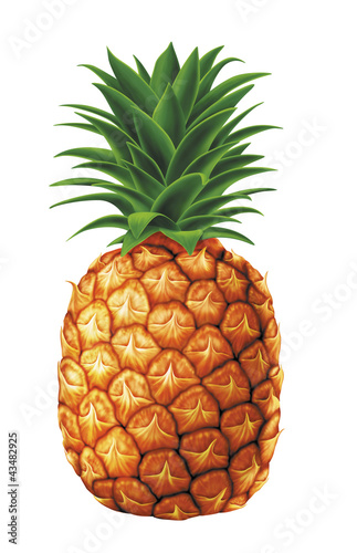 juicy fresh water drops of pineapple on white background photo