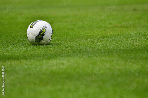 Football ball on the grass.