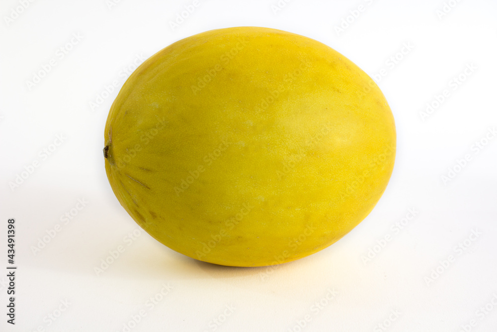 Honigmelone Honigmelone