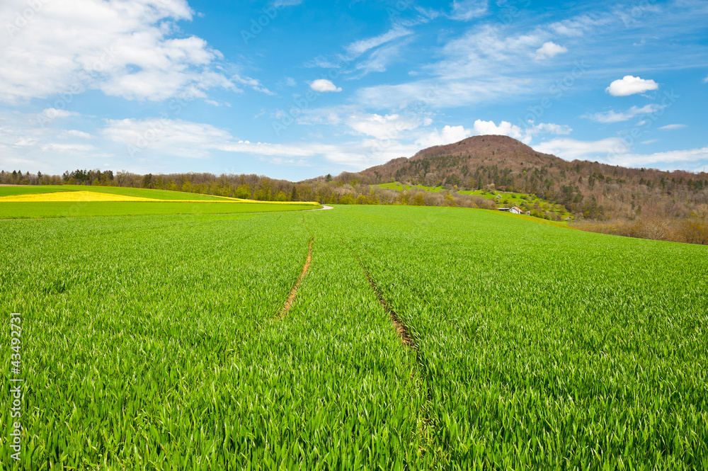 Naklejka premium Farmhouse