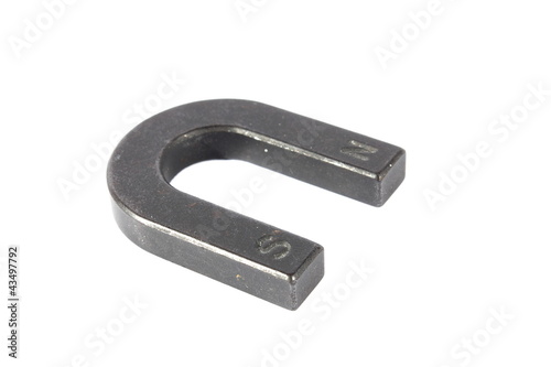 Magnet