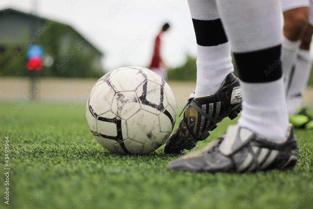 Obraz premium field of stadium football