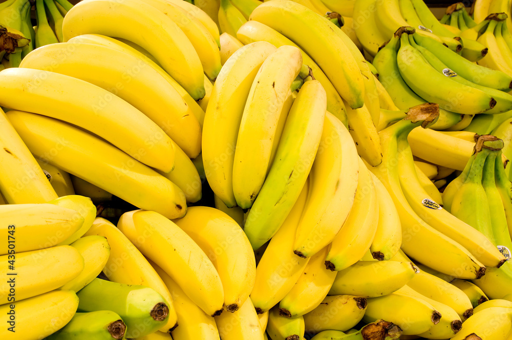 Bananas close up