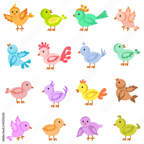 vector illustration of collection of colorful bird