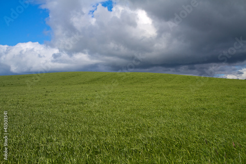 Green fields under dark clouds