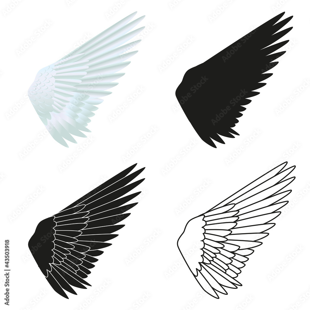 Aile_oiseau_x4