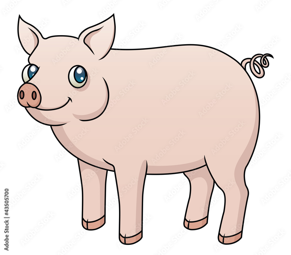 Cartoon Pig Cartoon Pig