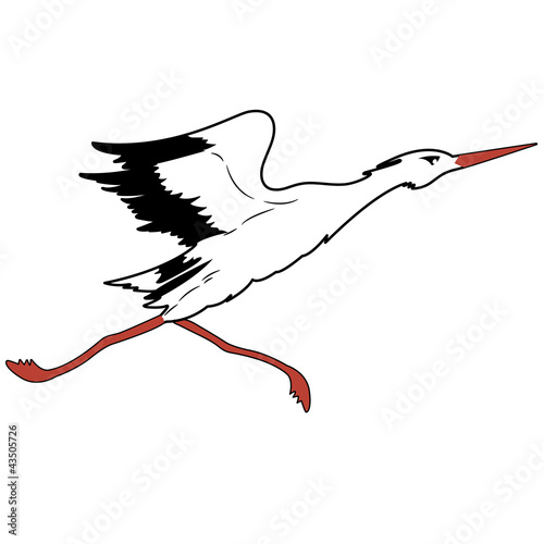 White Stork in flight. vector illustration.