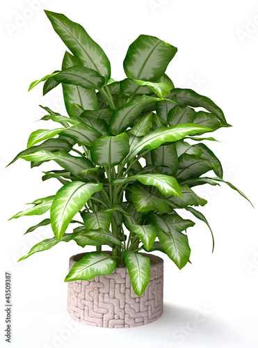 3d Tropical Houseplant in Stone Pot