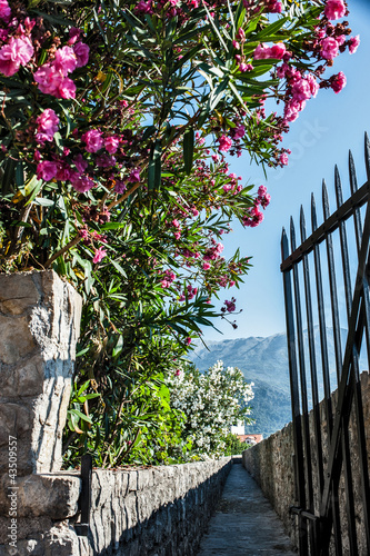 mounteins landscape in montenegro photo