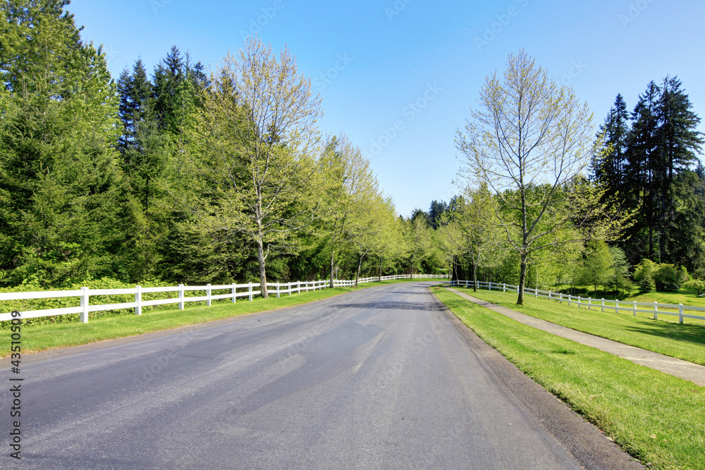 Road with white fence and spring trees.
