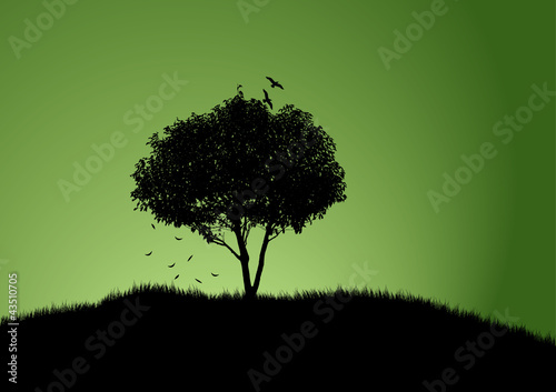 tree with green background