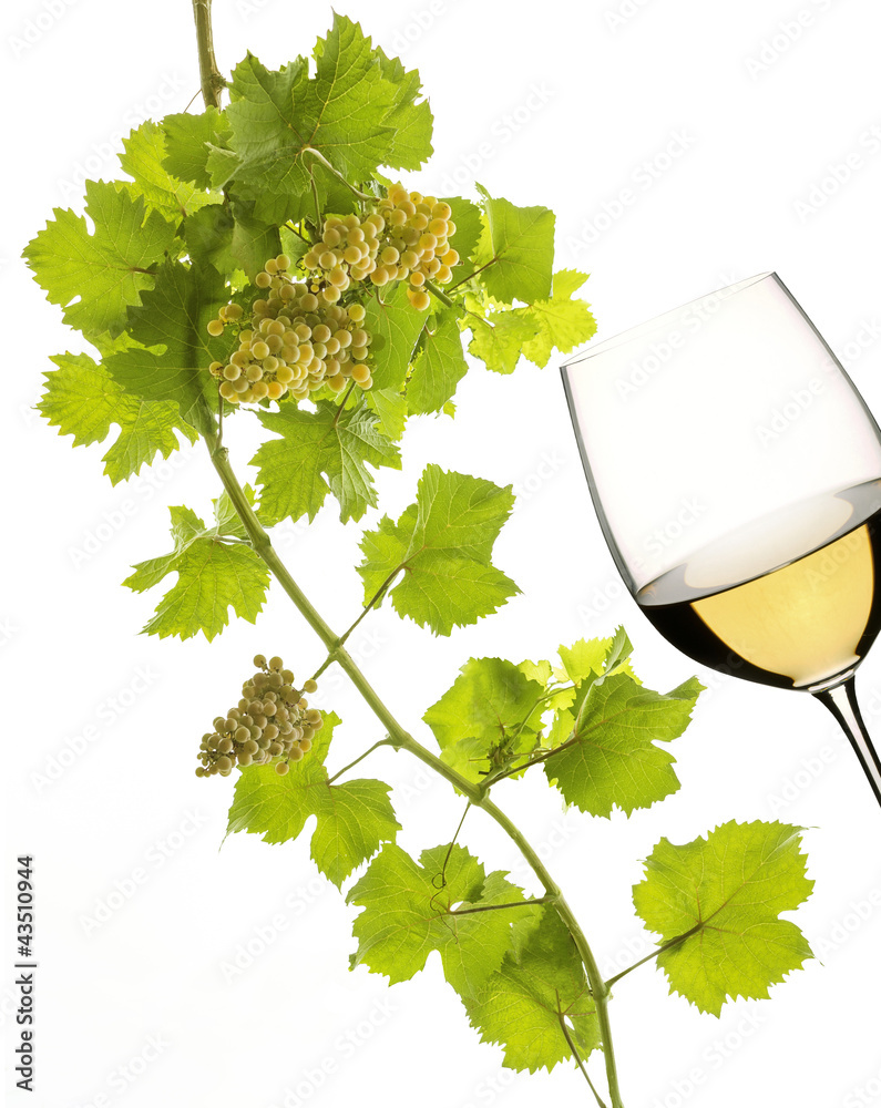 bunches of grapes with wine glass