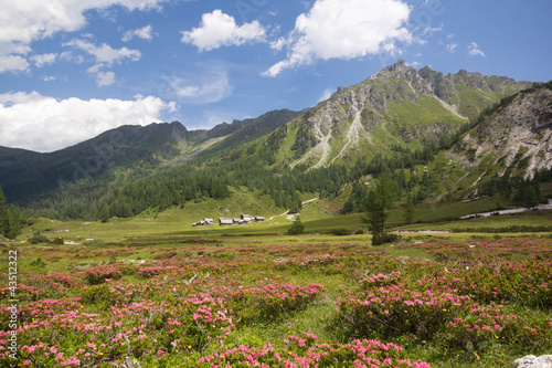 Ursprungalm Nähe Schladming in Österreich