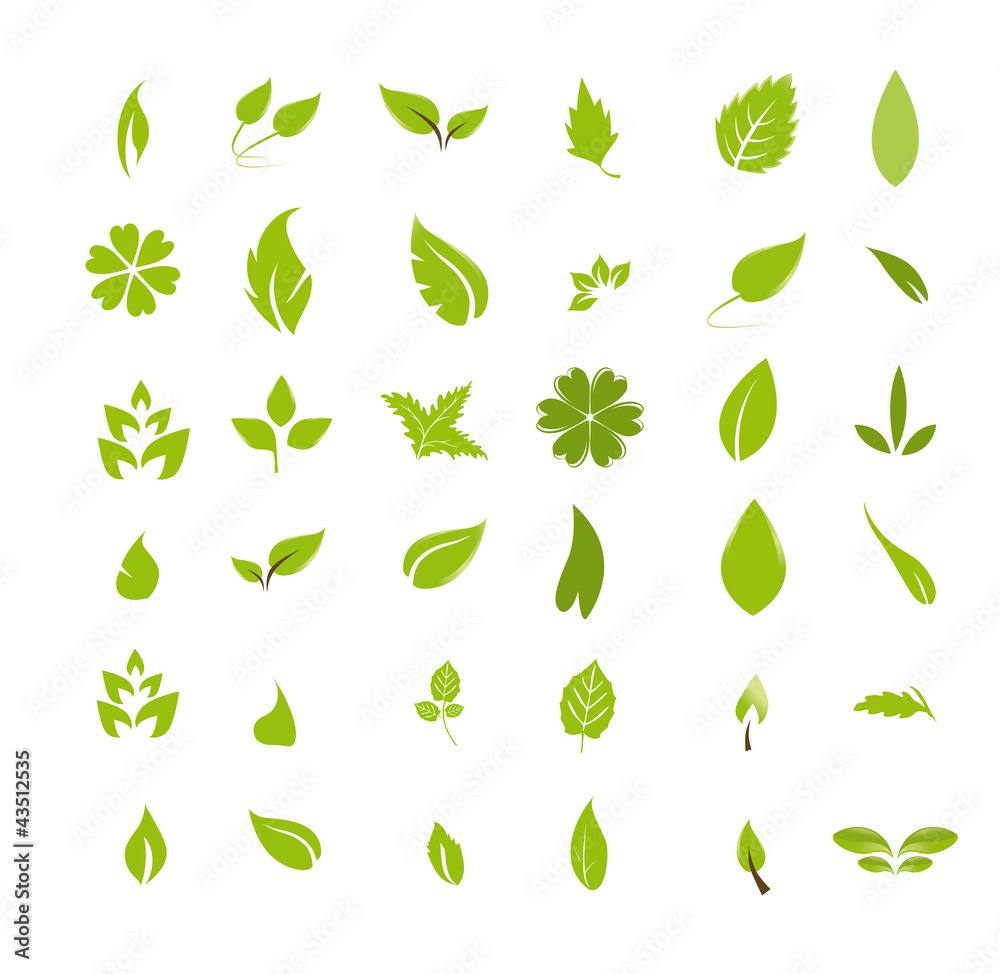 Feuilles