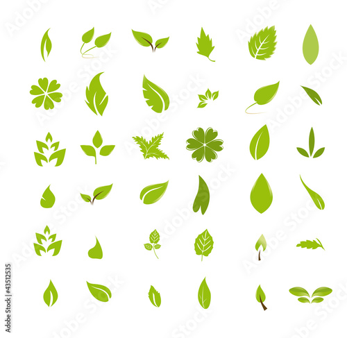 Feuilles