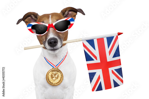 olympic dog photo