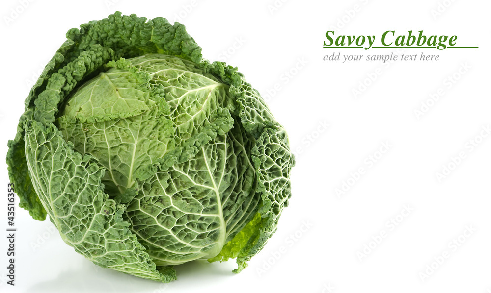 Fototapeta premium savoy cabbage