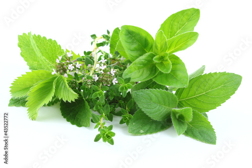 Green herbs