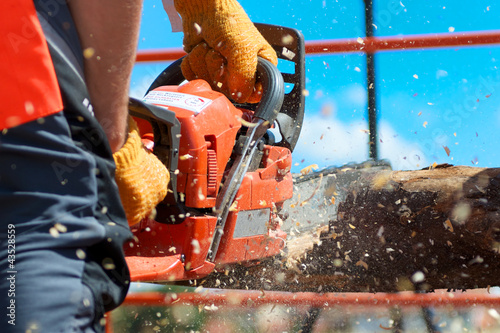 Kettensäge im Einsatz