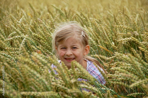 verstecken im Weizenfeld