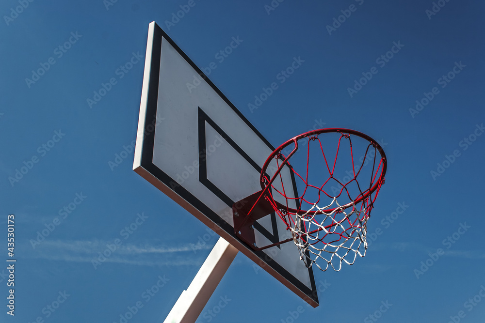 Panel basketball hoop