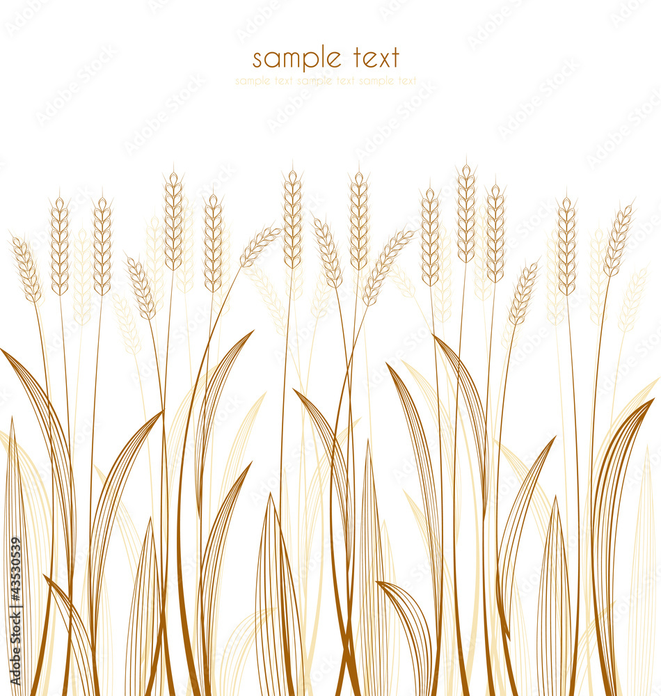 Naklejka premium grain