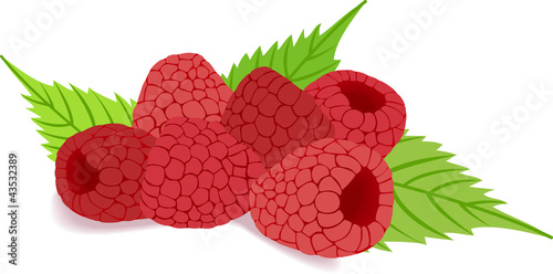 raspberry