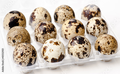 Photo quail eggs in the container