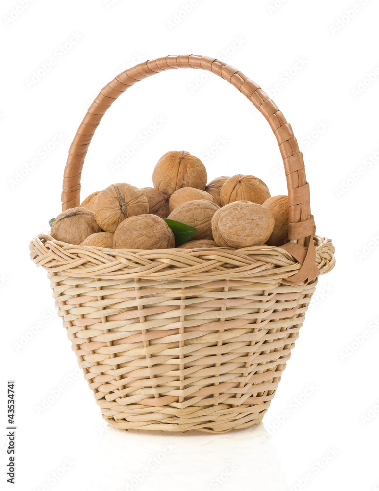 walnuts isolated on white walnuts isolated on white