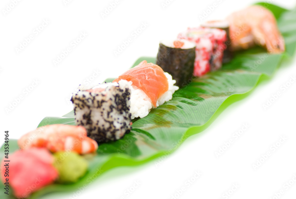 Traditional Japanese food Sushi. Sushi collection Traditional Japanese food Sushi. Sushi collection