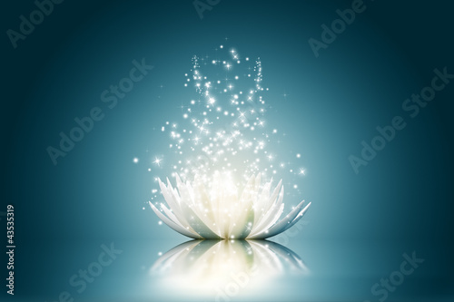 Lotus flower
