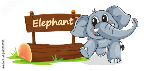 elephant and name plate
