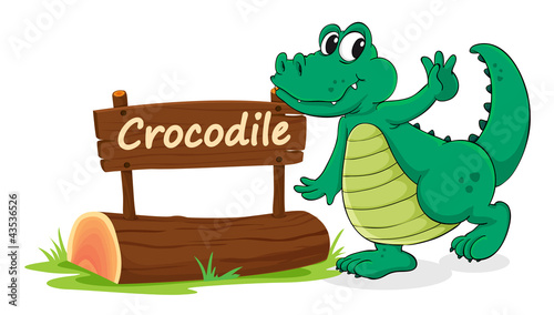 crocodile and name plate