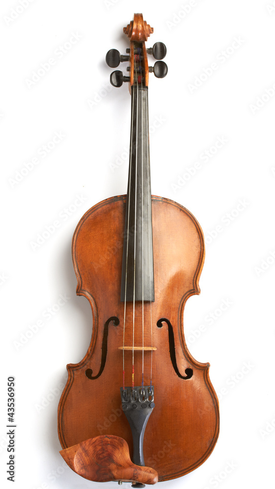 Obraz premium violin background