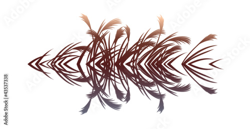 vector icon reed