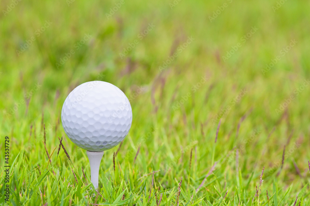 Golf ball on tee over a blurred green Golf ball on tee over a blurred green