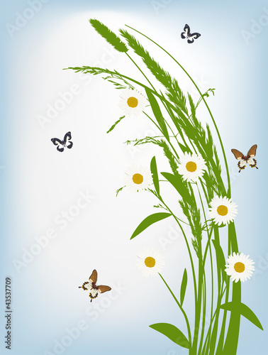 white chamomiles and small butterflies illustration