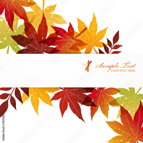 maple background