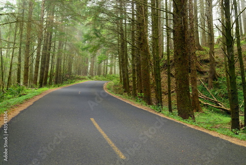 road in deep forest