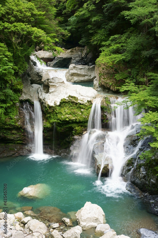 Fototapeta premium 夏の大轟の滝