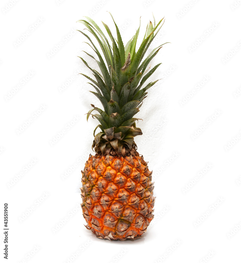 pineapple on a white background pineapple on a white background