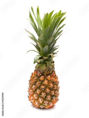 pineapple on a white background