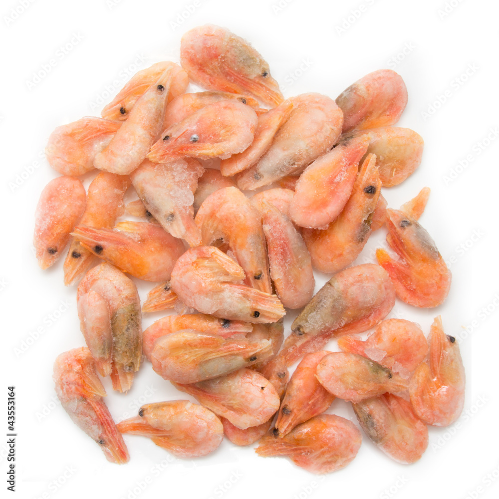 Frozen marine King prawns in a transparent dish Frozen marine King prawns in a transparent dish