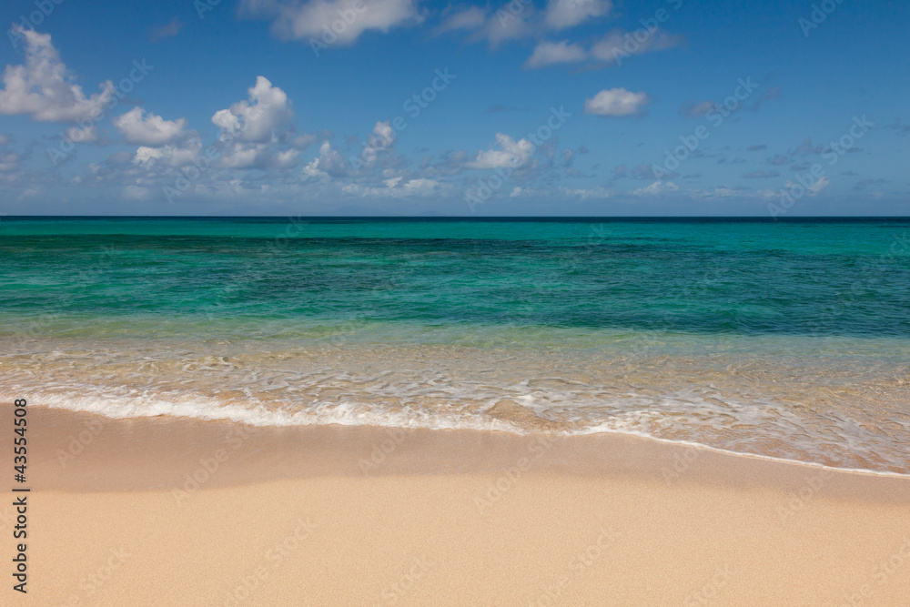 Beautiful Sandy Tropical Beach and Sunny Ocean Seascape