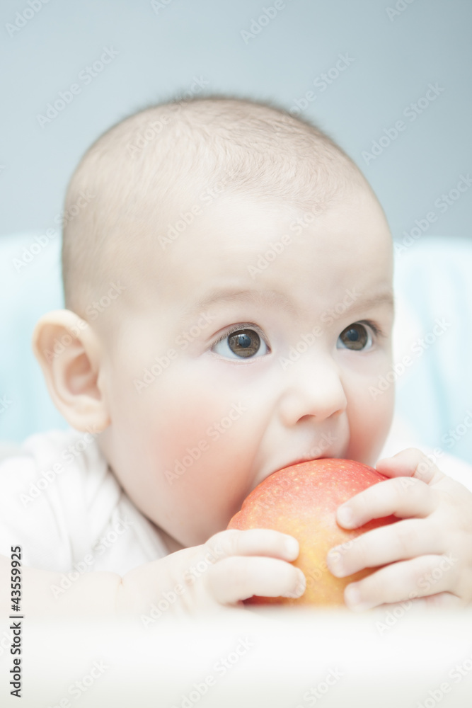 lovely portrait of caucasian rosy-cheeked tot eating apple lovely portrait of caucasian rosy-cheeked tot eating apple