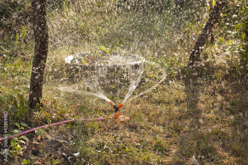 Agriculture - Irigation system in garden at summer photo