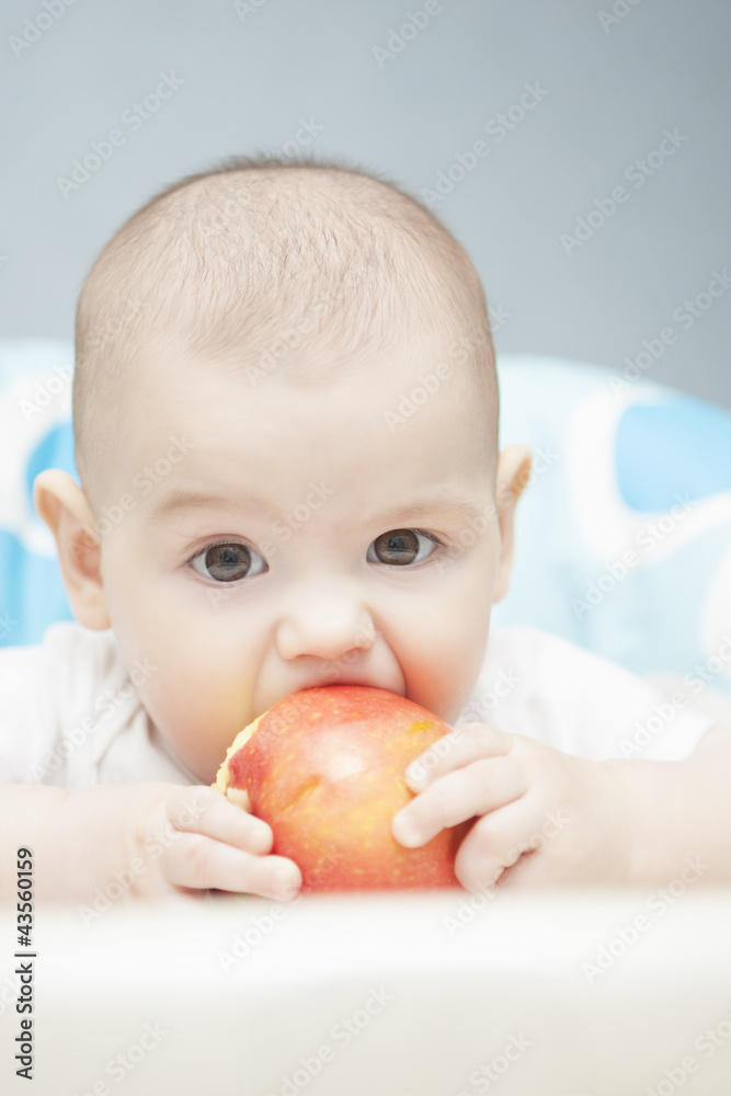 portrait of lovely little caucasian tot eating an apple portrait of lovely little caucasian tot eating an apple