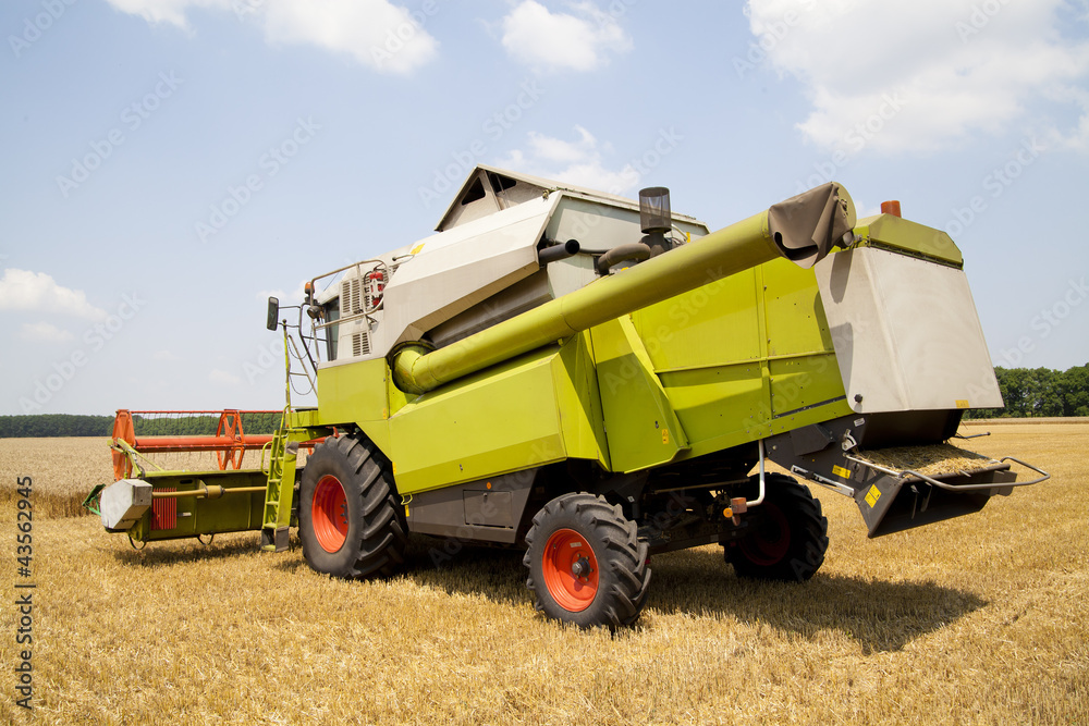 Fototapeta premium Combine working on a wheat field